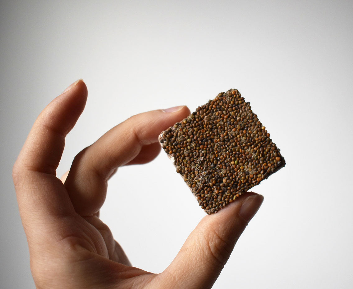 Microgreens Vielfalt Set 3-Pack